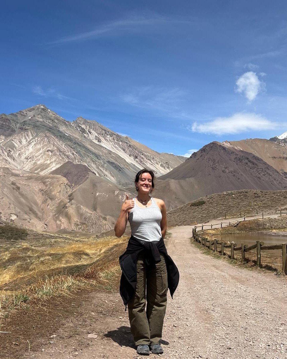 Home ines silva tavares